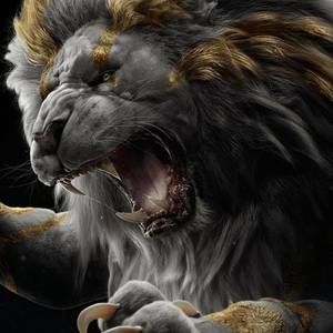 Meet your Posher, Darius